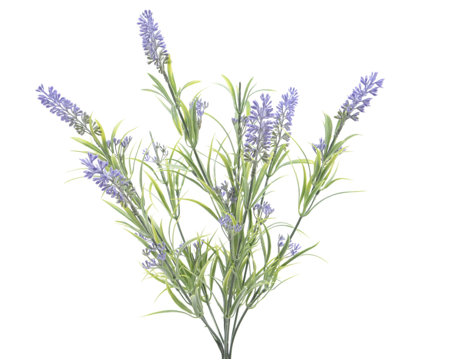Pic Lavanda Con 8 Fiori 43 Cm