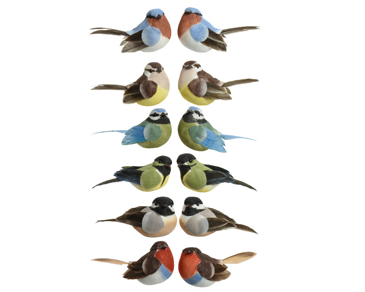 Uccellino Colorato Con Clip 5X9X5 Cm 1 Pezzo