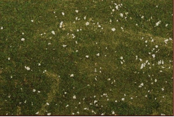 Carta Muschio Per Presepe per ambientazioni natalizie e diorami - DeMatteis.it