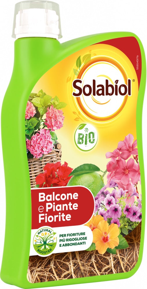 Concime Balcone E Piante Fiorite