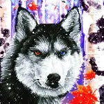 Kit Diamond Dotz Forest Wolf