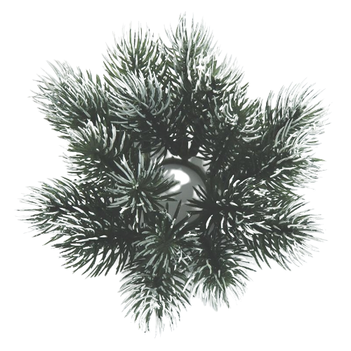 Corona rami pino innevati diametro 12 cm per decorazioni natalizie - DeMatteis.it