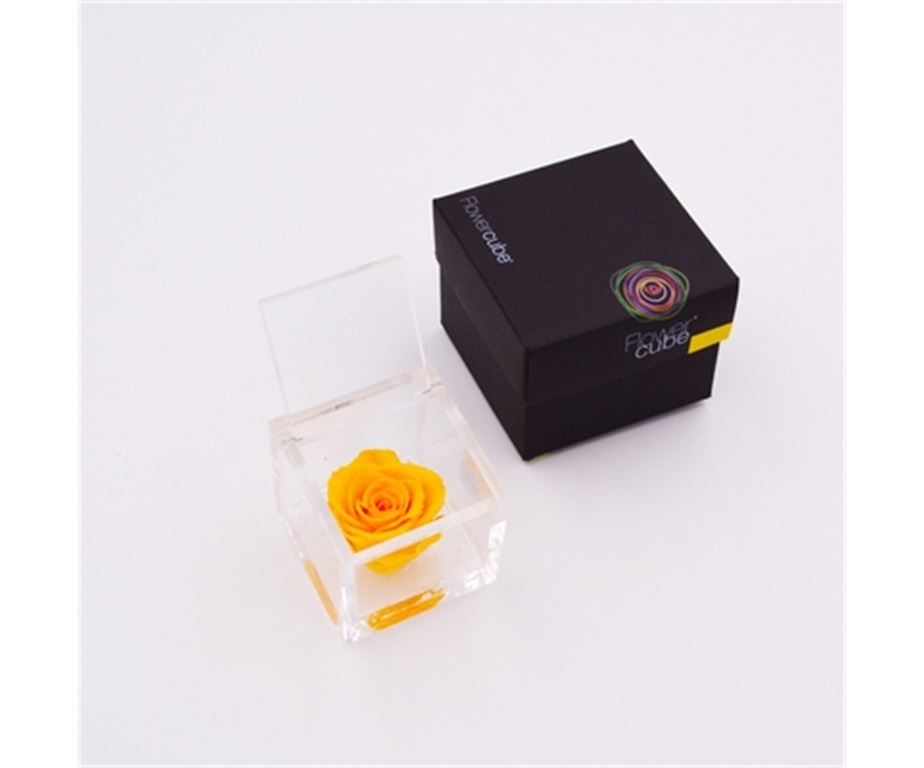 Rosa Stabilizzata Gialla 6X6 Cm