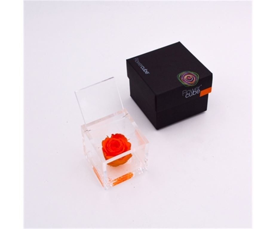 Rosa Stabilizzata Arancio 6X6 Cm