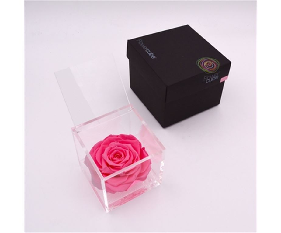 Rosa Stabilizzata Rosa 6X6 Cm