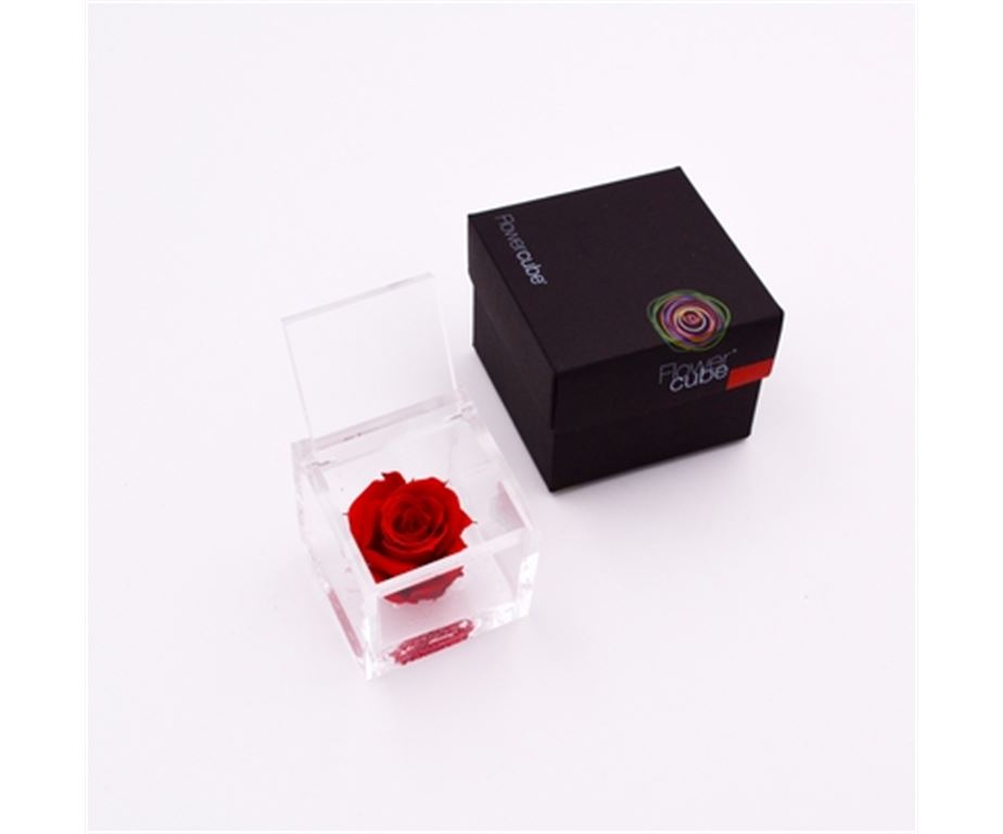 Rosa Stabilizzata 6X6 Cm Rosso