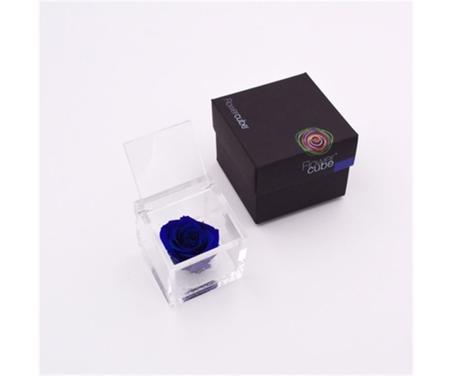 Rosa Stabilizzata Blu 6X6 Cm