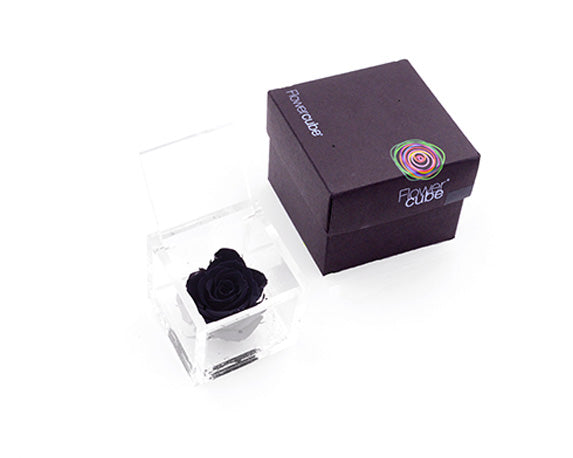 Rosa Stabilizzata Nera 6X6 Cm