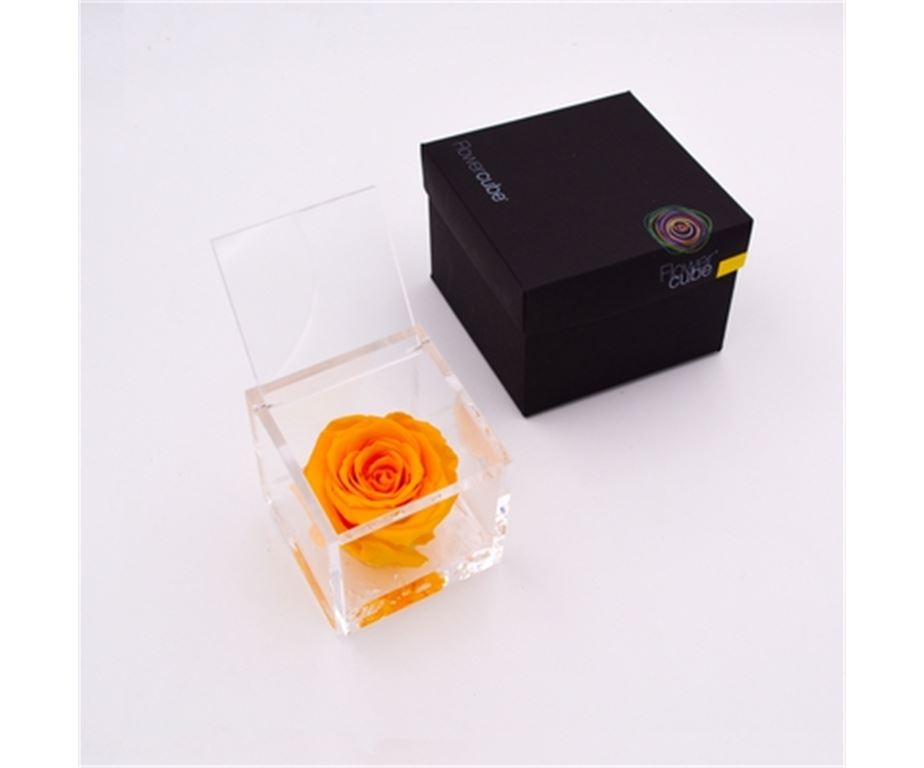 Rosa Stabilizzata Gialla 8X8 Cm