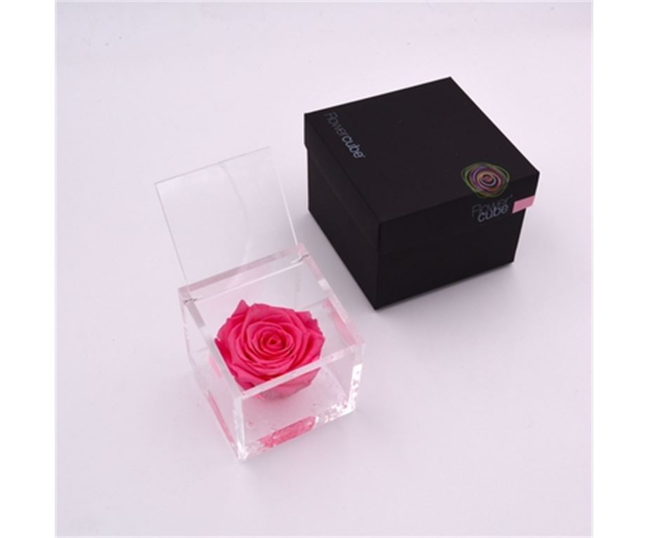 Rosa Stabilizzata Rosa 8X8 Cm