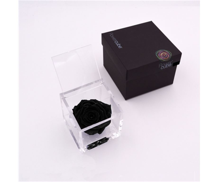 Rosa Stabilizzata Nera 8X8 Cm