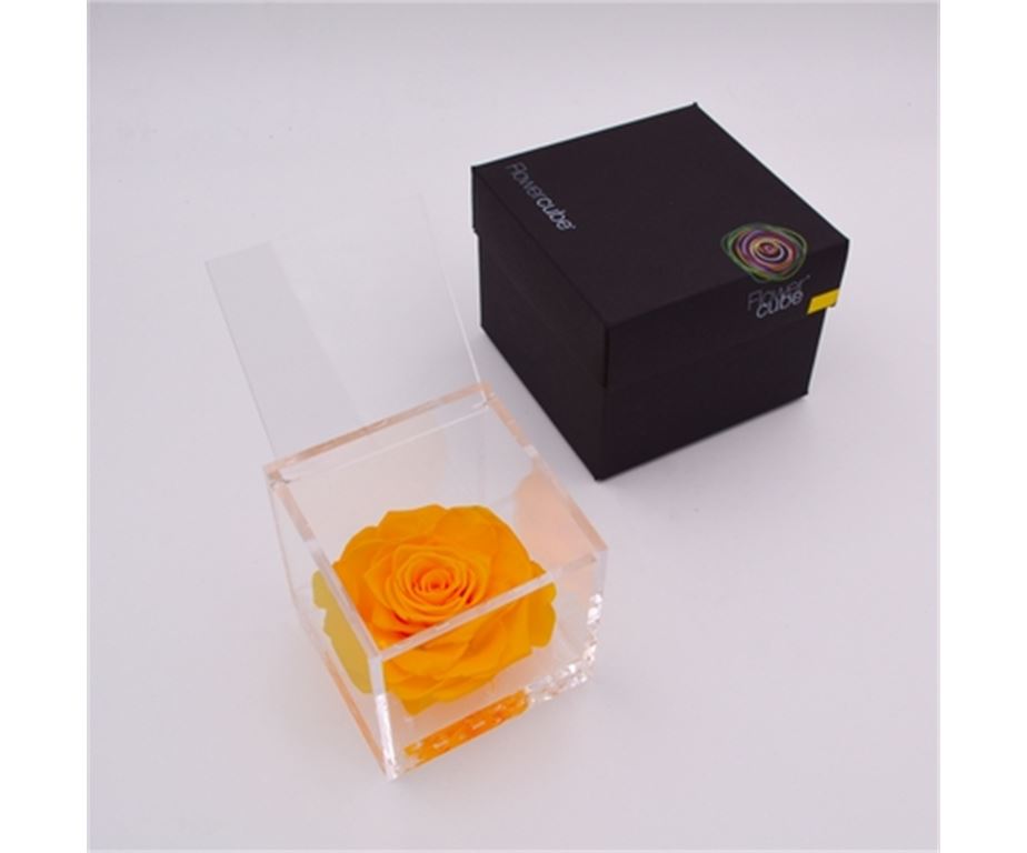 Rosa Stabilizzata Gialla 10X10 Cm