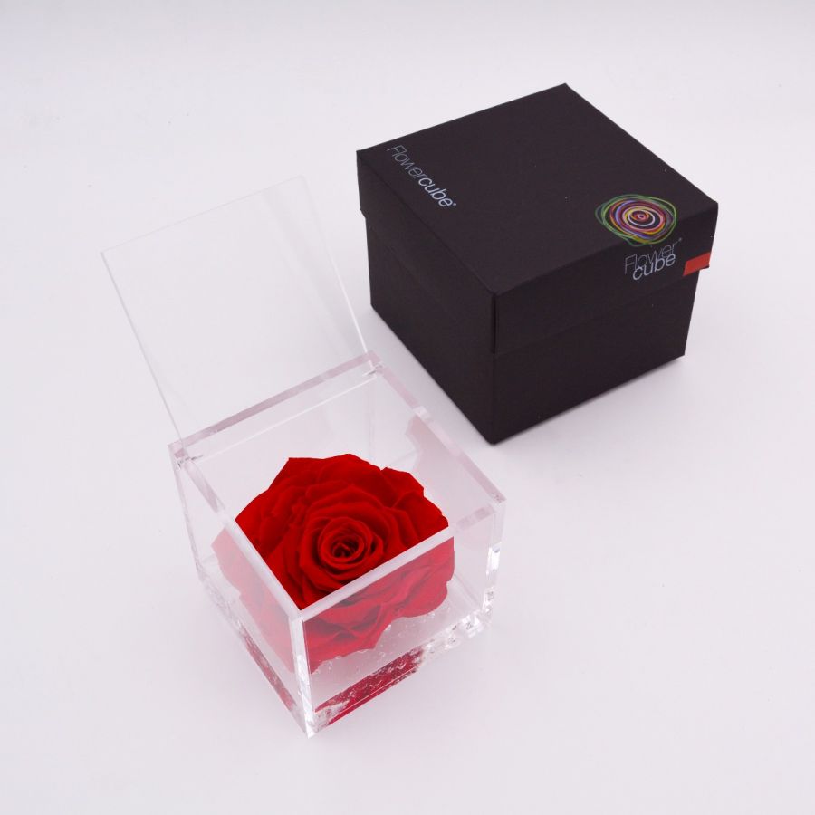 Rosa Stabilizzata 10X10 Cm Rosso
