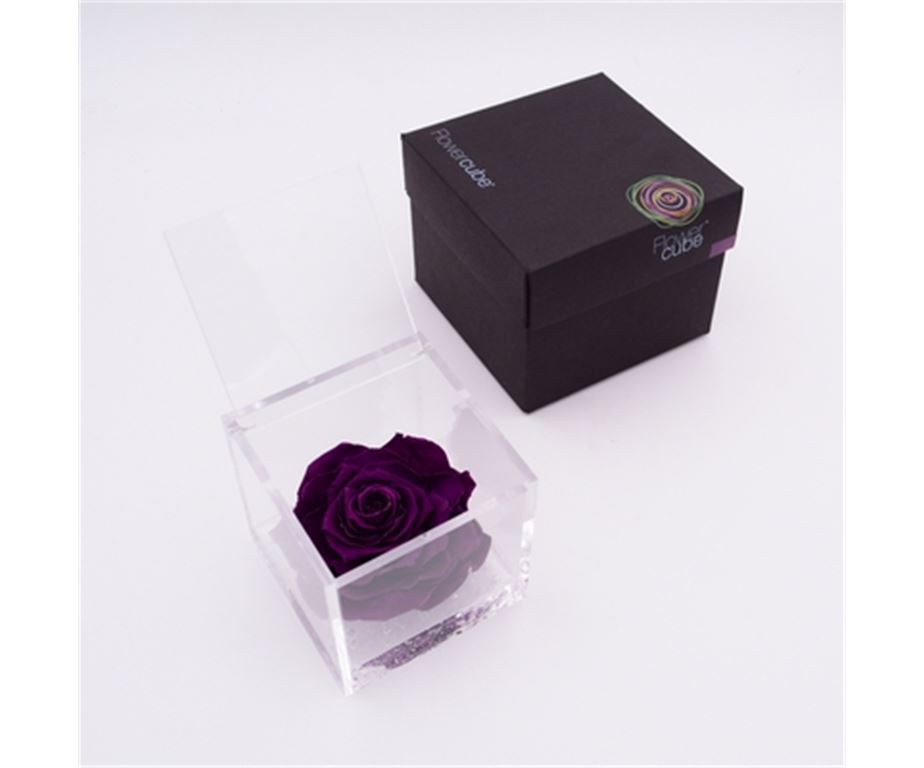 Rosa Stabilizzata Viola 10X10 Cm