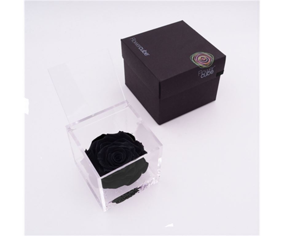 Rosa Stabilizzata Nera 10X10 Cm
