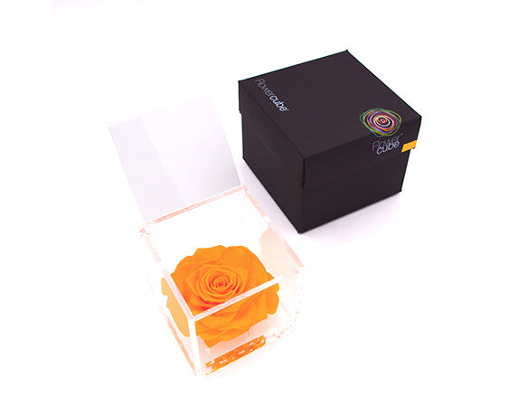 Rosa Stabilizzata Arancio 12X12 Cm