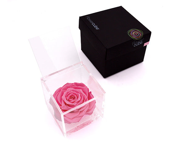 Rosa Stabilizzata Rosa 12X12 Cm