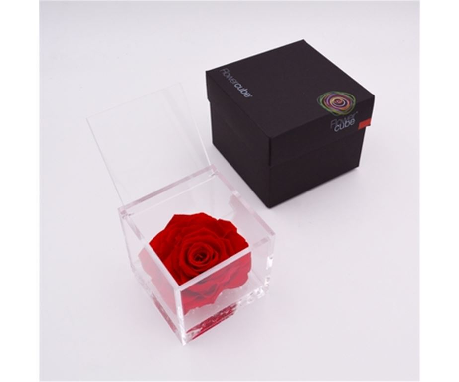 Rosa Stabilizzata 12X12 Cm Rosso