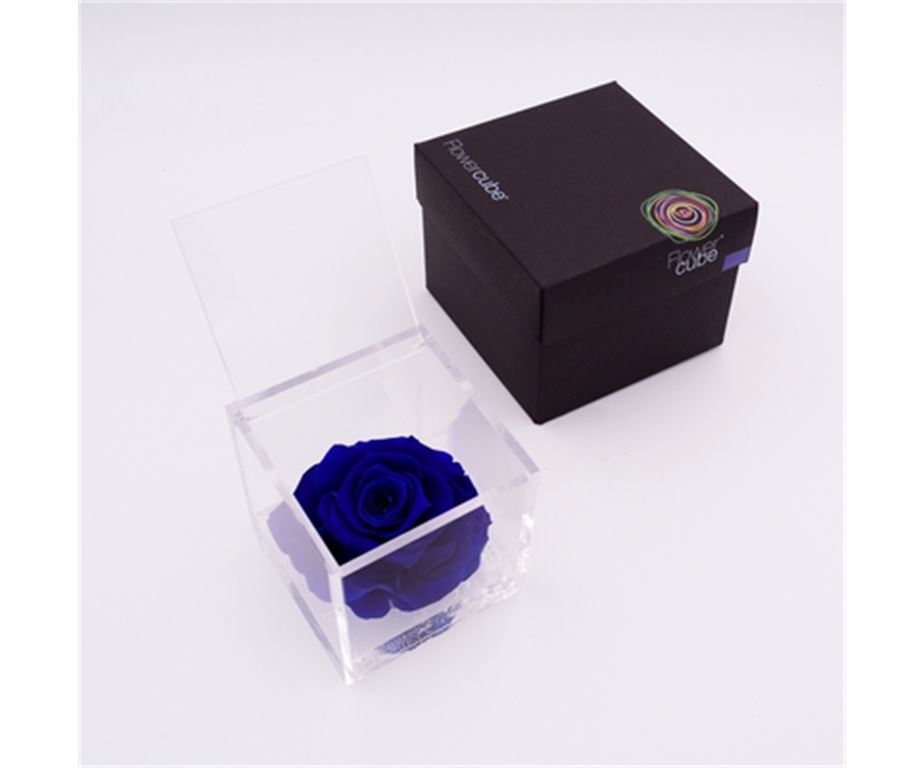 Rosa Stabilizzata Blu 12X12 Cm