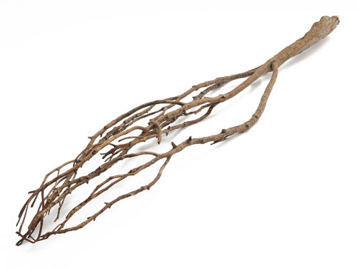 Ramo Pino Nero 80 Cm Natural