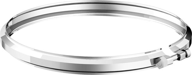 Fascetta Bloccaggio D220 Inox