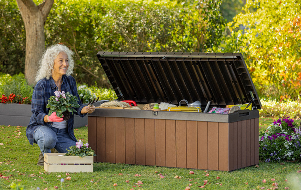 BAULE PORTAOGGETTI IN RESINA DARWIN