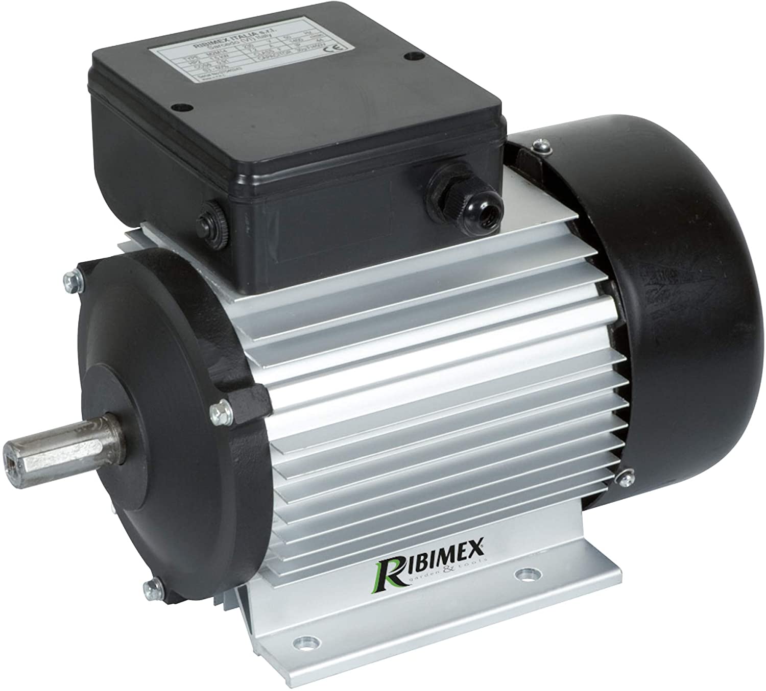 Motore Elettrico 1 Cv 1400 Giri/Min Asse 19 Mm