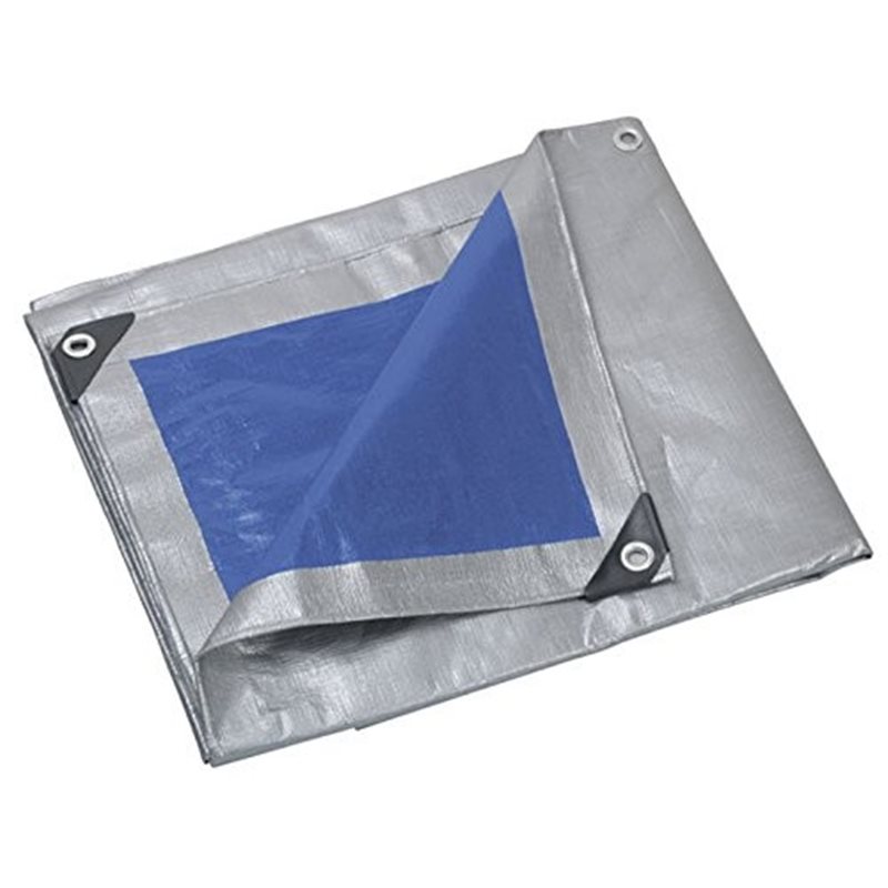 Telo Protezione 250 Gr 6X10 Mt