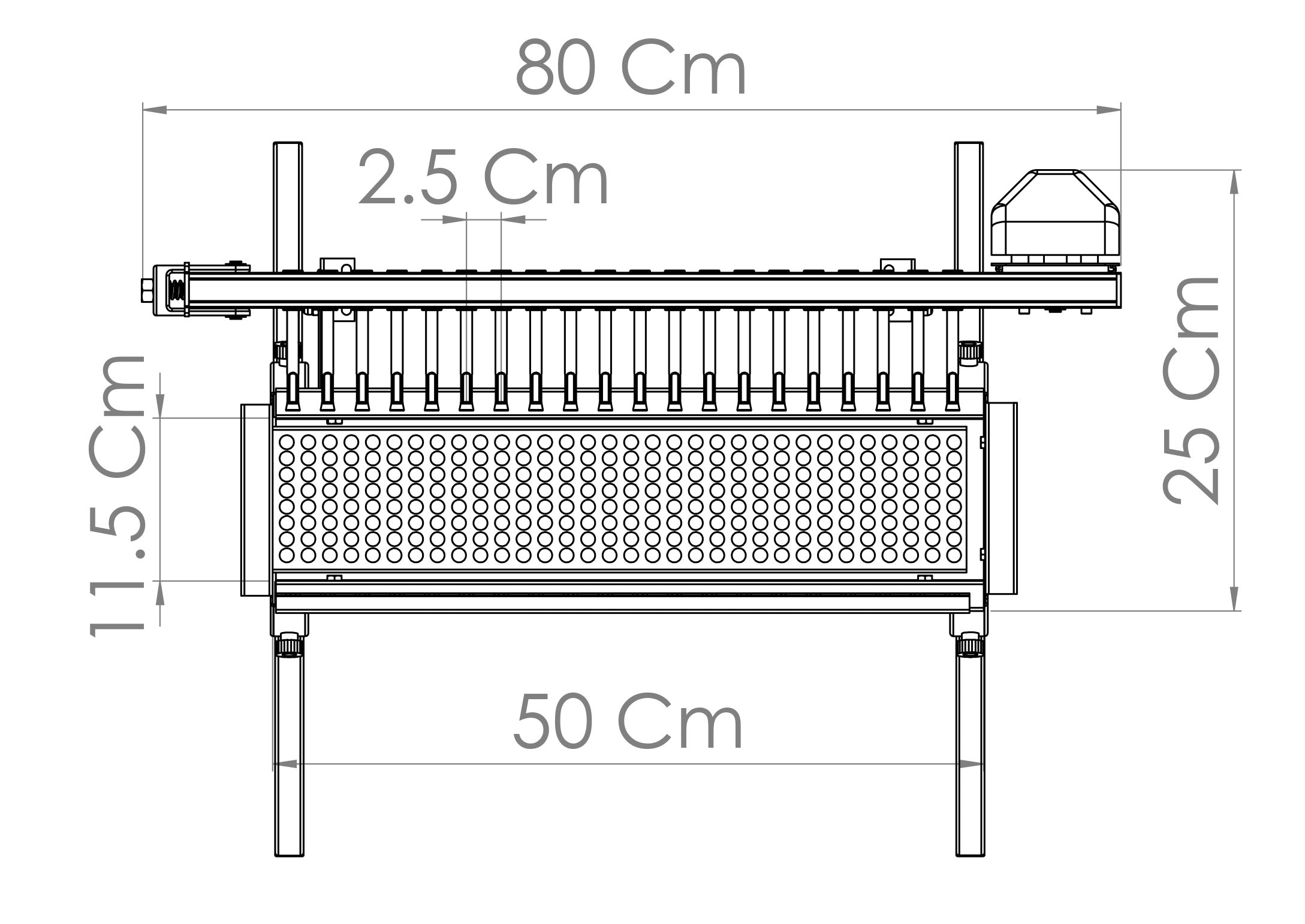 Cuoci Arrosticini Automatico Trs-20