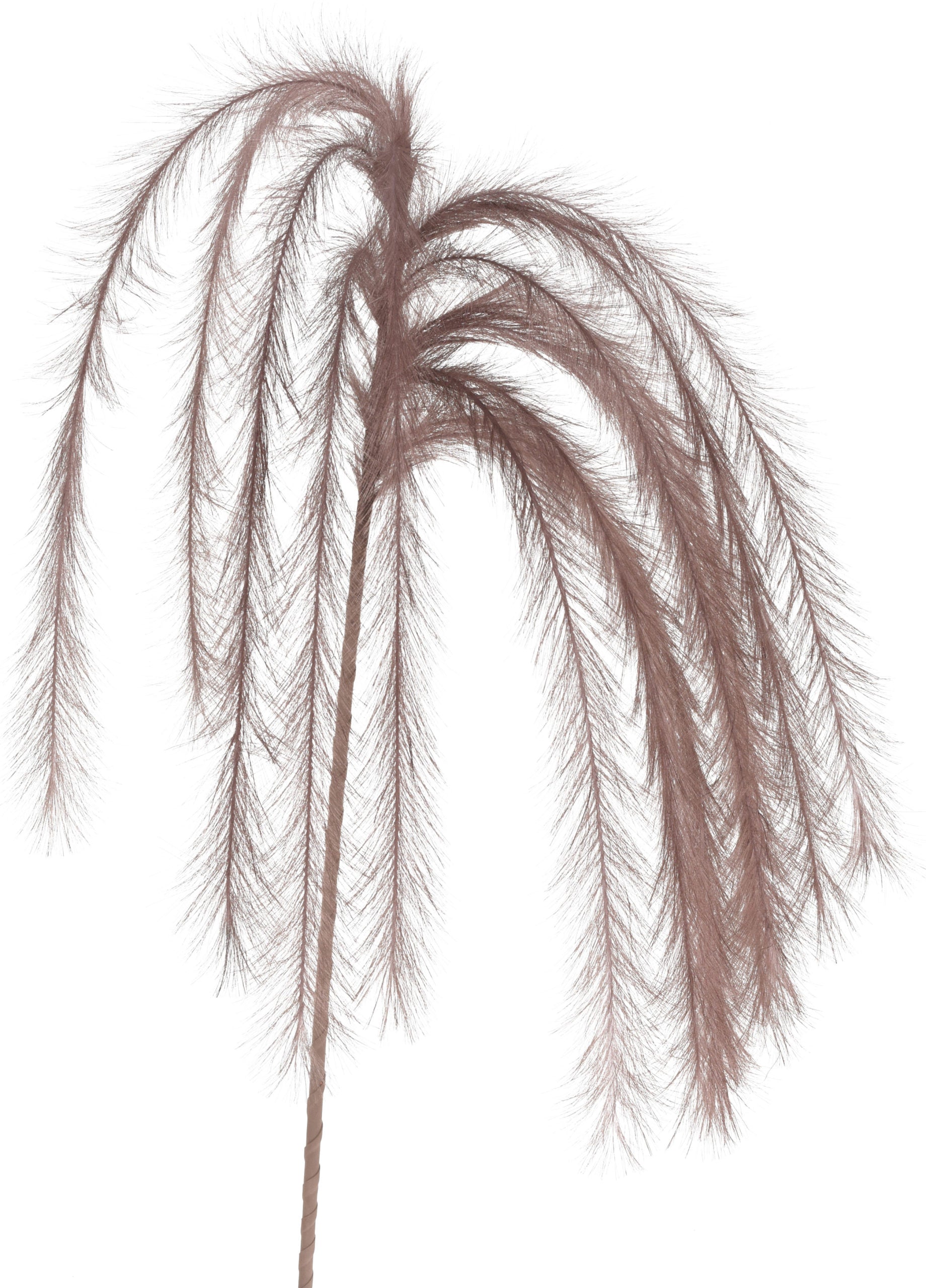 Ramo Piume 130 Cm Grigio Marrone