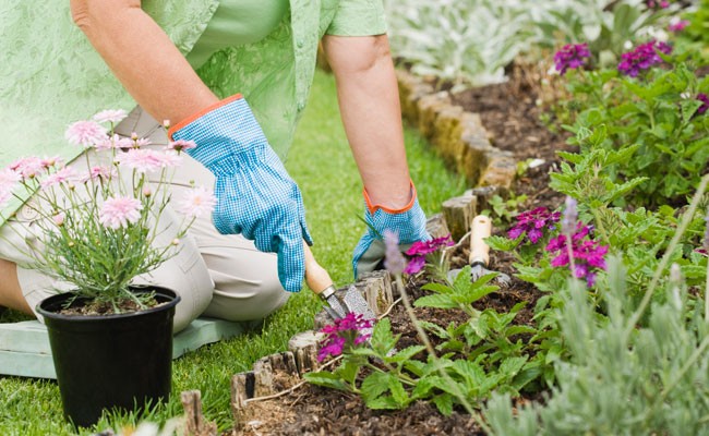 Manici per attrezzi da giardino