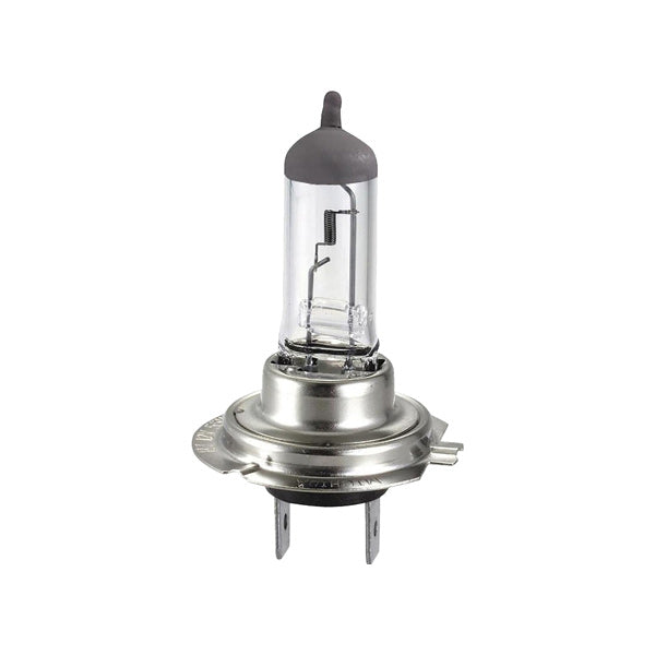 Lampade auto