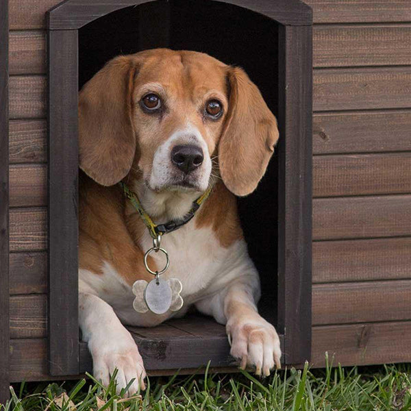 Prodotti per animali