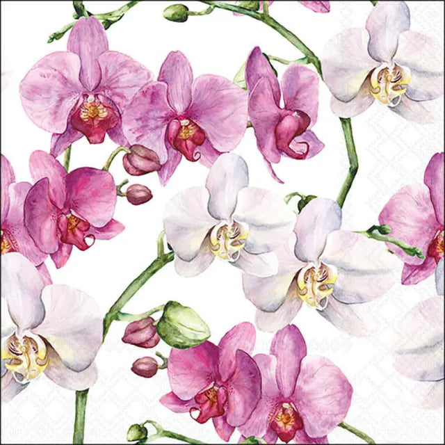 Set 20 Tovaglioli 33x33 Cm Elegant Orchids White