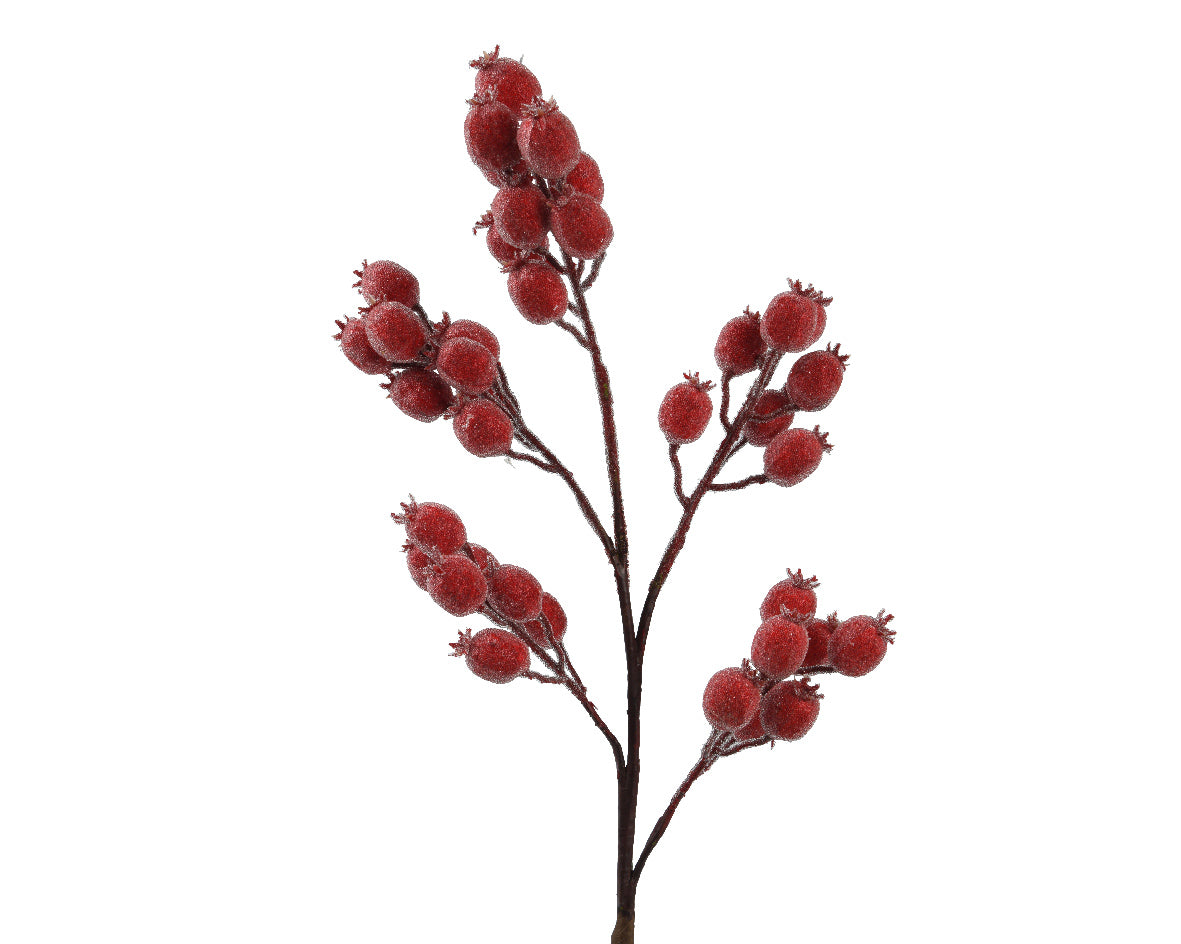 Ramo Bacche Rosse Ghiacciate 20x16x78 Cm