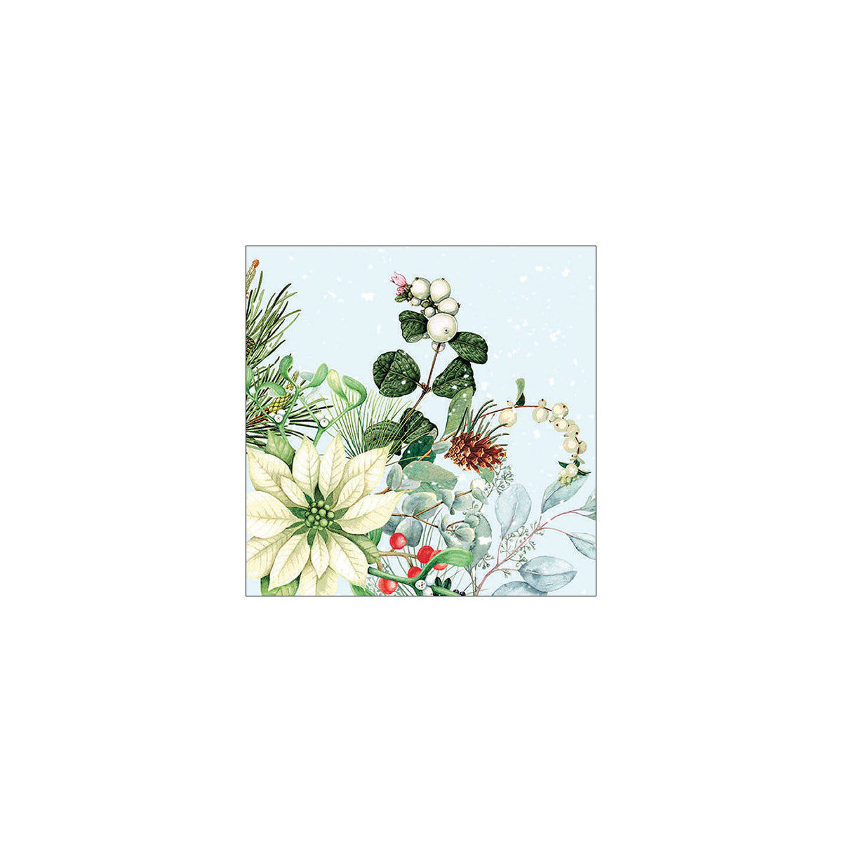 Set 20 Tavglioli 33x33 Cm White Poinsettia