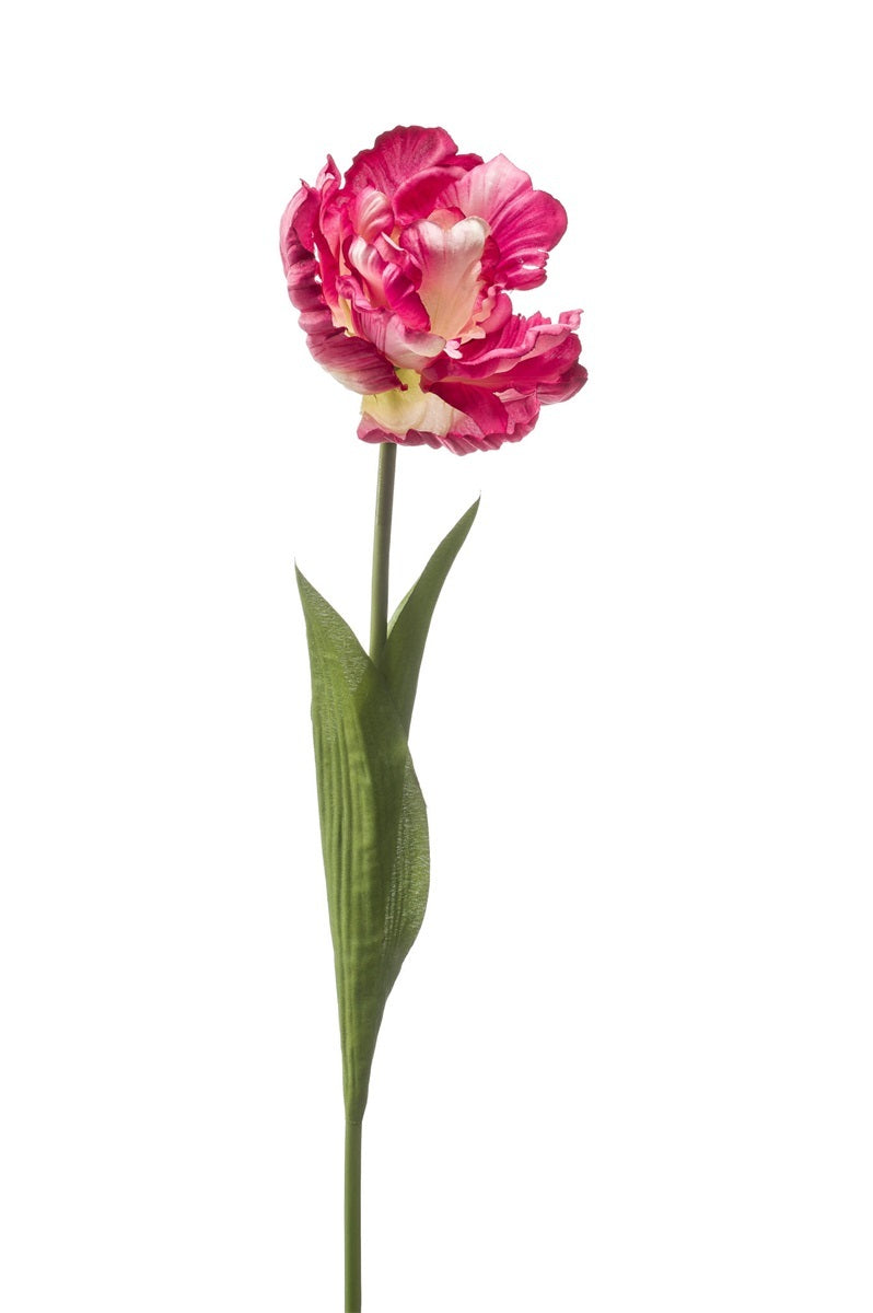 Emerald Eternal Green, Tulipano Aperto Rosa 66 cm fiore artificiale con petali sfumati rosa fucsia e bianco crema, stelo verde con foglie realistiche - DeMatteis.it