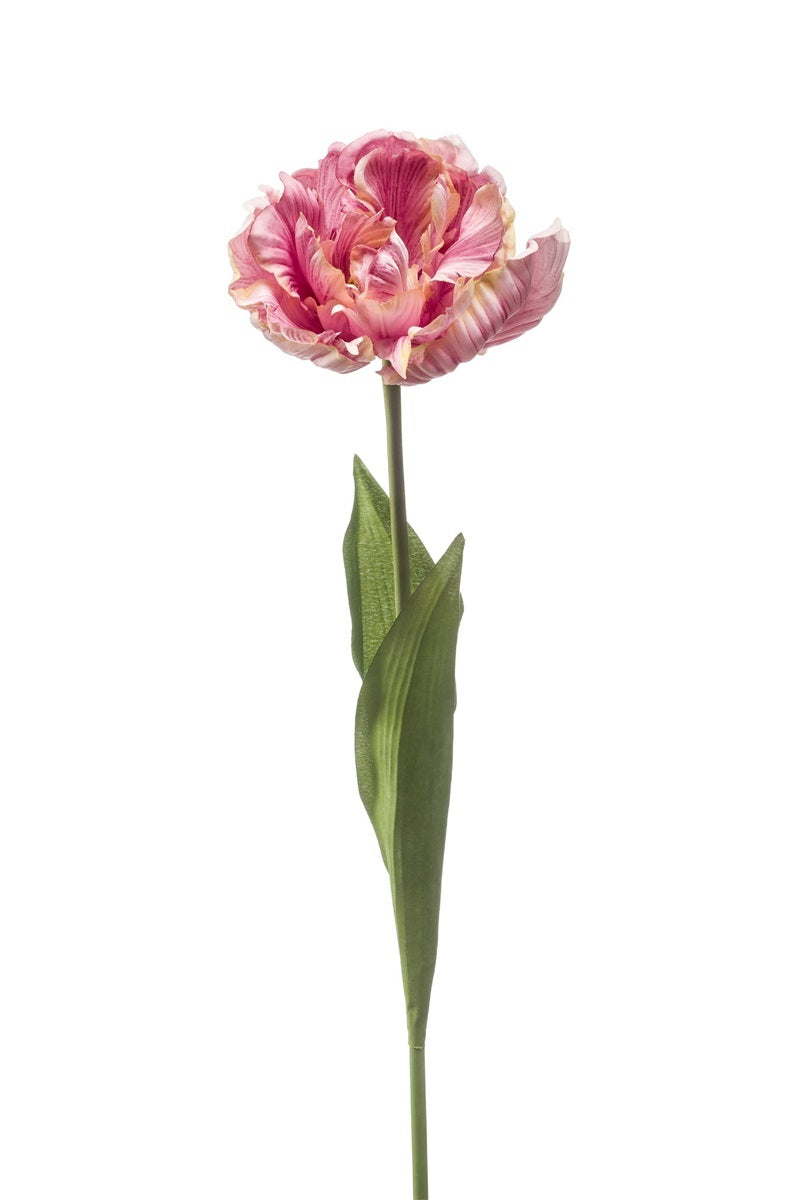 Emerald Eternal Green, Tulipano Aperto Viola 66 cm artificiale con petali sfumati rosa e viola con bordi increspati, stelo verde e foglie realistiche per decorazione - DeMatteis.it