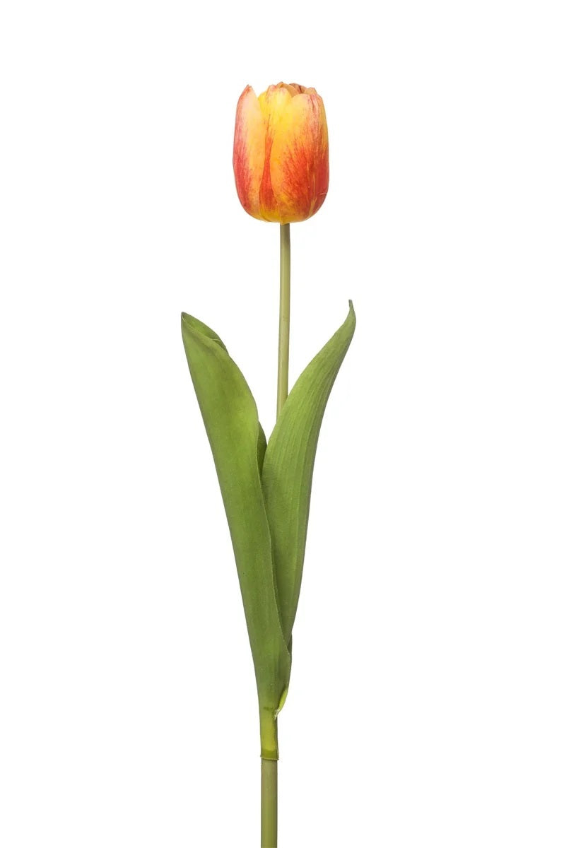 Tulipano Aperto Rosso Corallo 55 Cm
