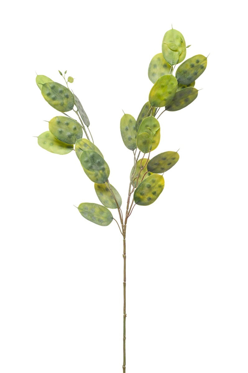 Emerald Eternal Green, Ramo Foglie Lunaria Verdi 70 cm artificiale con foglie ovali sfumate in verde chiaro e scuro su stelo marrone per decorazioni floreali - DeMatteis.it