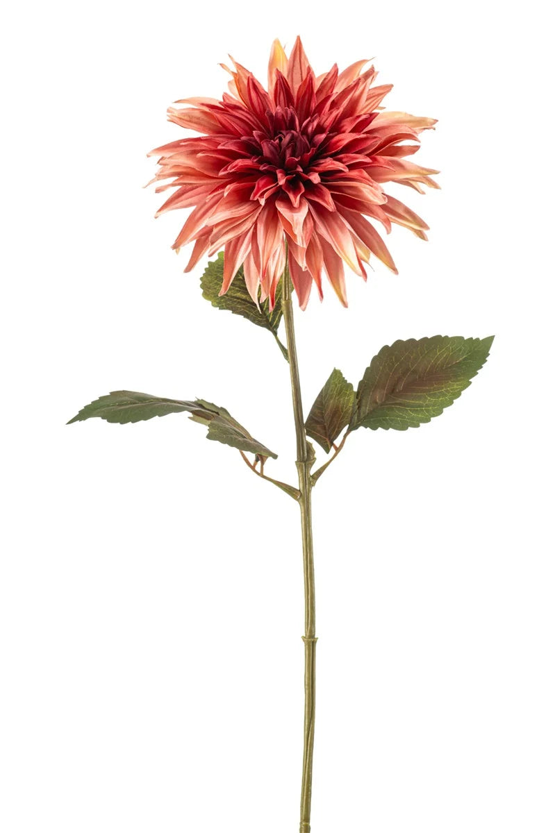 Dalia Oro Rosa Su Stelo 70 Cm
