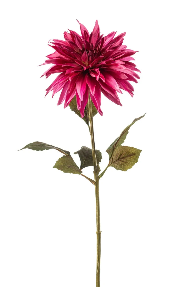 Dalia Beauty Su Stelo 70 Cm
