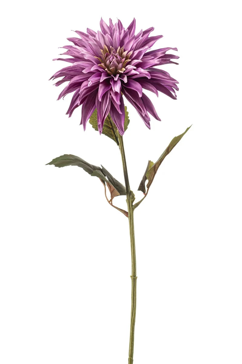 Dalia Porpora Su Stelo 70 Cm