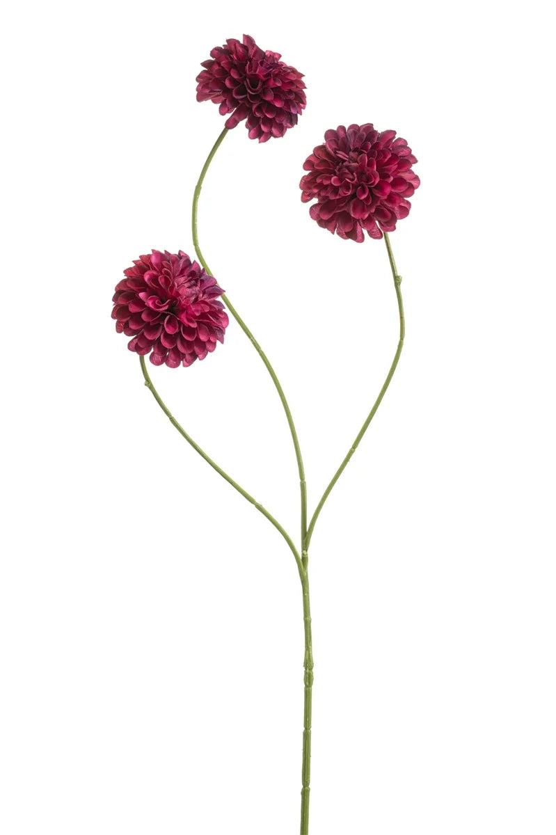 Dalia Pompom Beauty Mini 3 Fiori Su Stelo 68 Cm