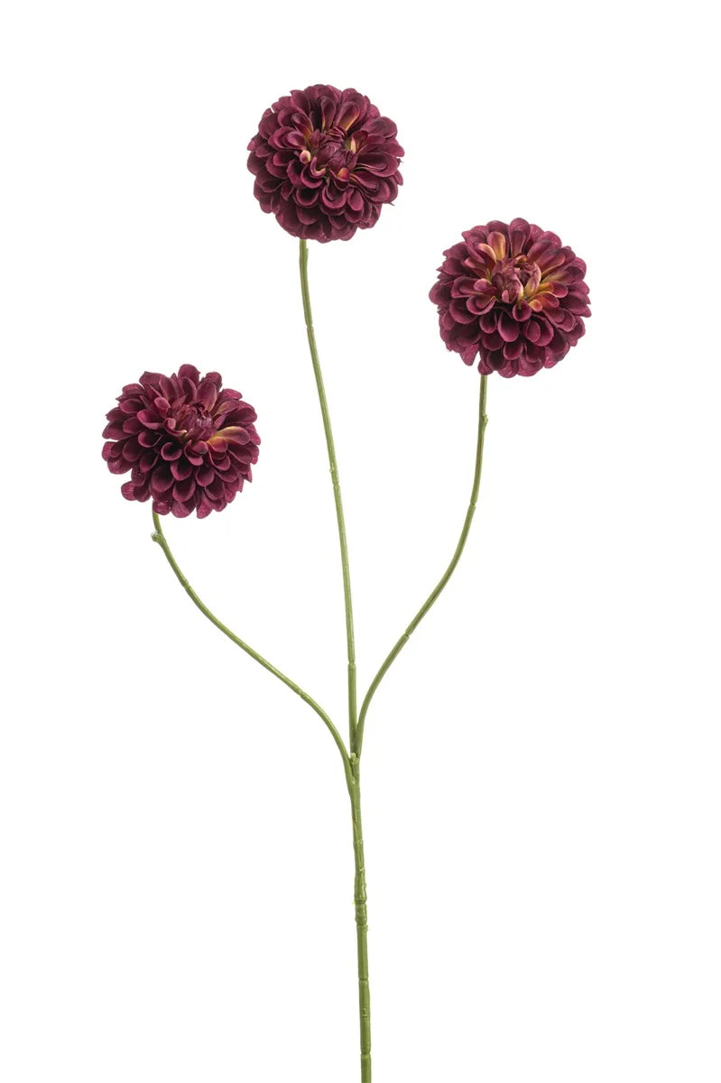 Dalia Pompom Borgogna Mini 3 Fiori Su Stelo 68 Cm