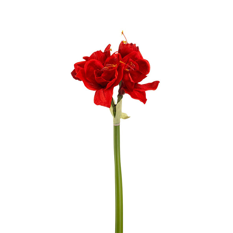 Ramo Amaryllis Rosso 72 Cm