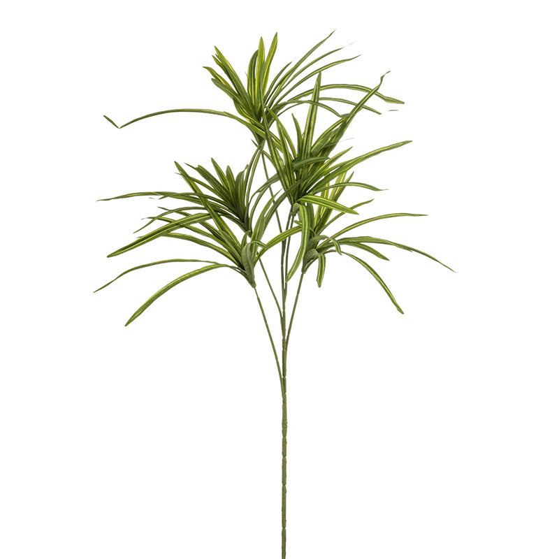 Ramo Foglie Dracaena Verdi 90 Cm