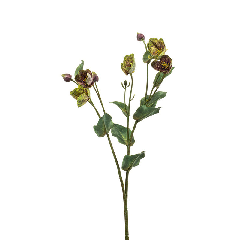 Fiore Elleboro Verde Viole 52 Cm