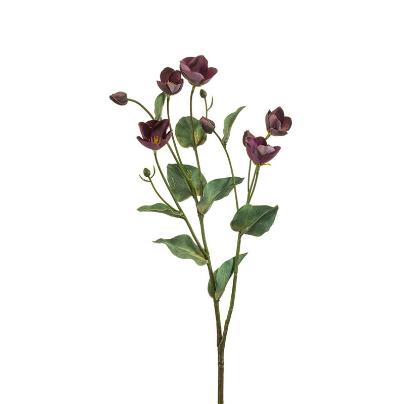 Ramo Elleboro Viola 52 Cm