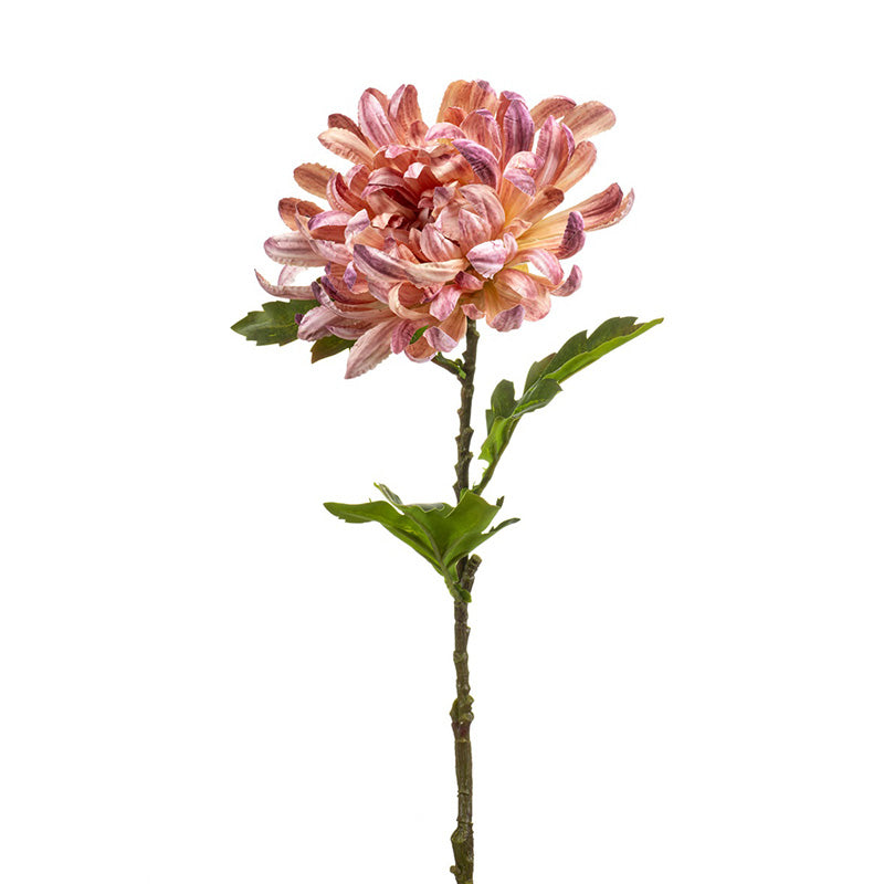 Crisantemo Rosa 60 Cm
